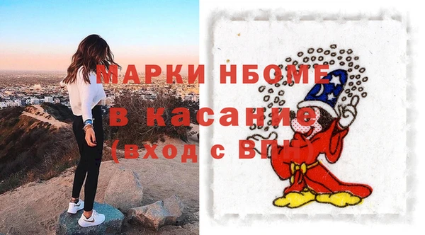 твердый Арсеньев