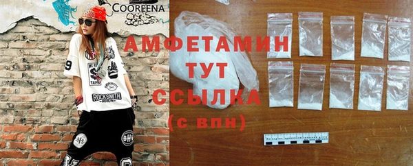 твердый Арсеньев