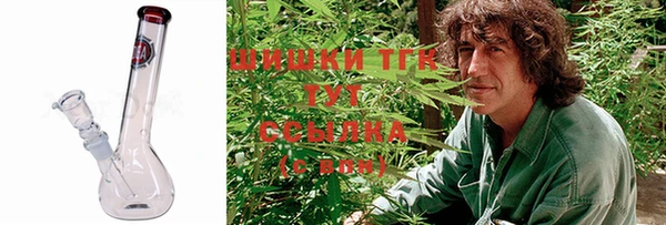 твердый Арсеньев