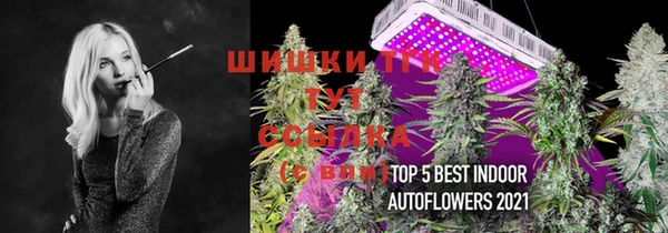 спиды Аркадак