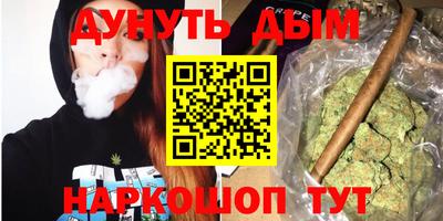 сатива Владимир