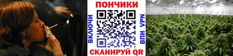 Бошки Шишки семена  Копейск 